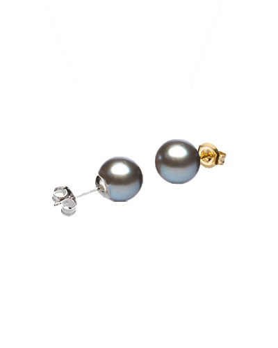 Grey Akoya Stud Earrings  |  9.0-9.5 mm