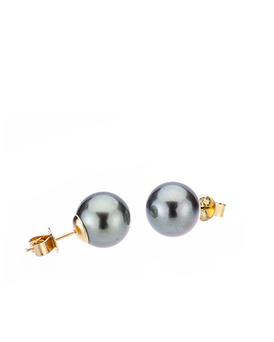 Tahitian Stud Earrings | 11.0-11.5 mm