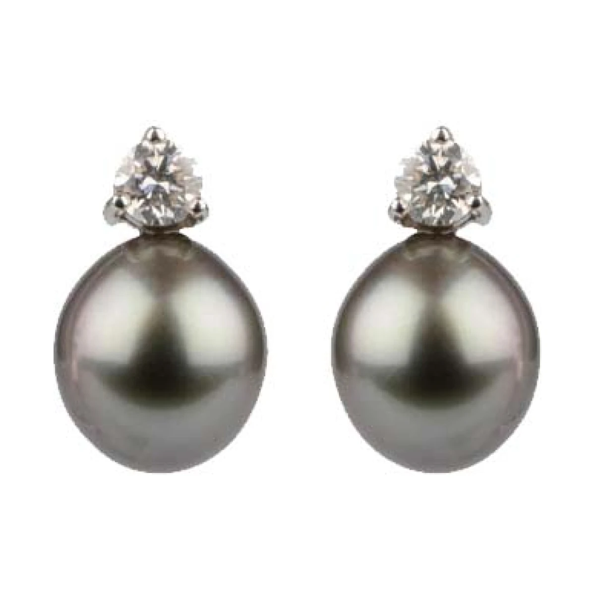 Classic Diamond & Tahitian Pearl Earrings  |  18ct White Gold