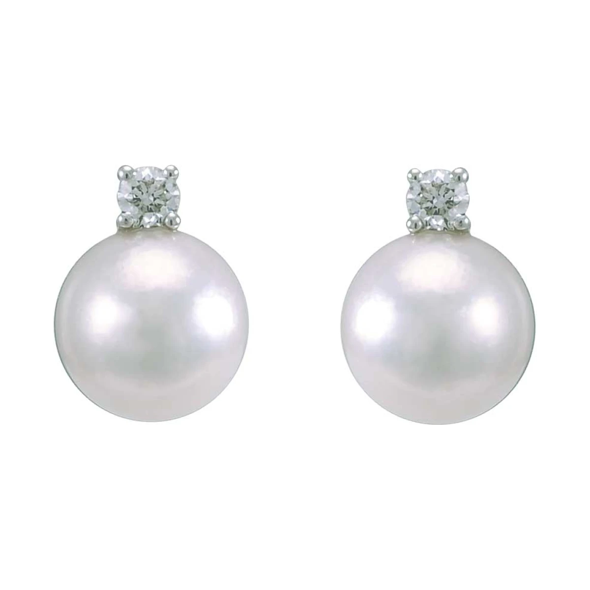 Akoya Pearl & Diamond 4 Claw Stud Earrings  |  18ct Gold