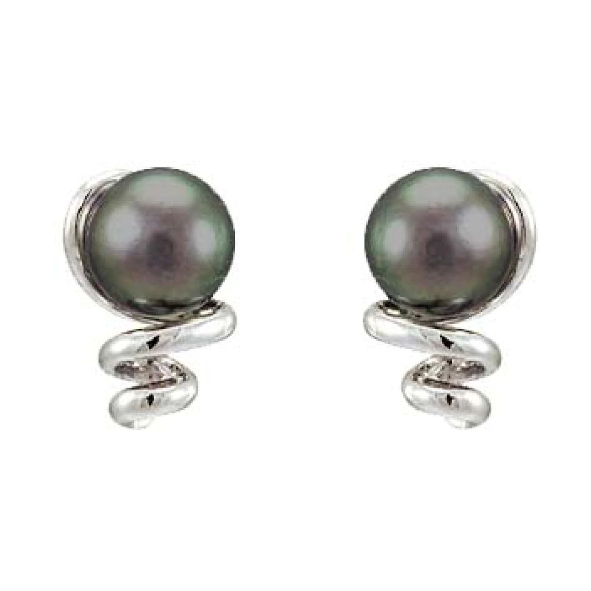 Black Akoya Pearl Spring-Like Design Stud Earrings  |  14ct White Gold