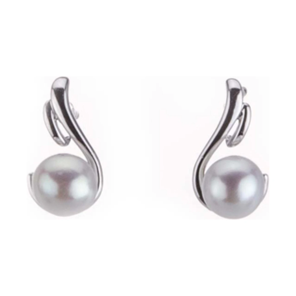 Freshwater Pearl Contemporary Scroll Design Earrings  |  9ct White Gold