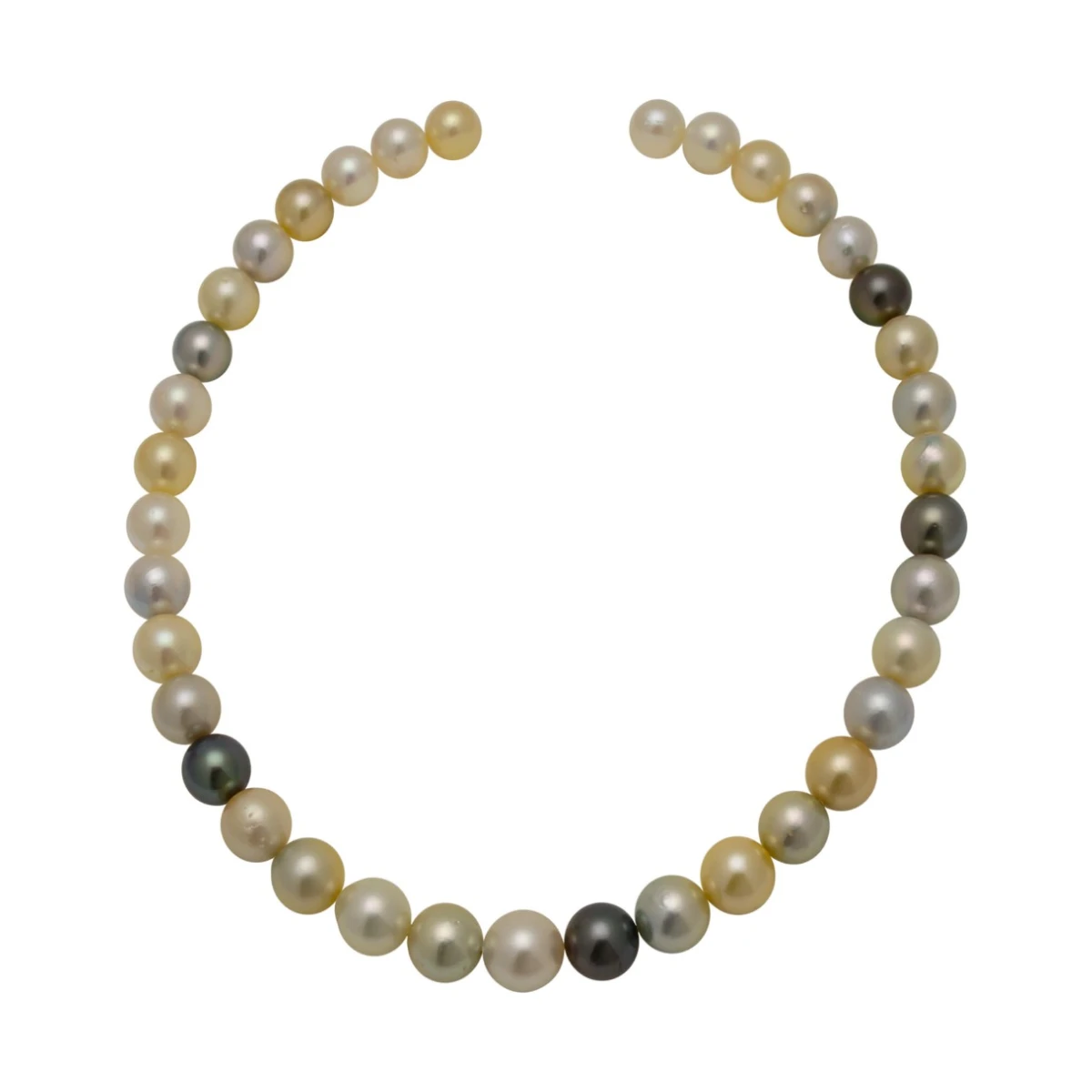 South Sea & Tahitian Multi-Colour Pearl Necklace  | 10 to 12mm 