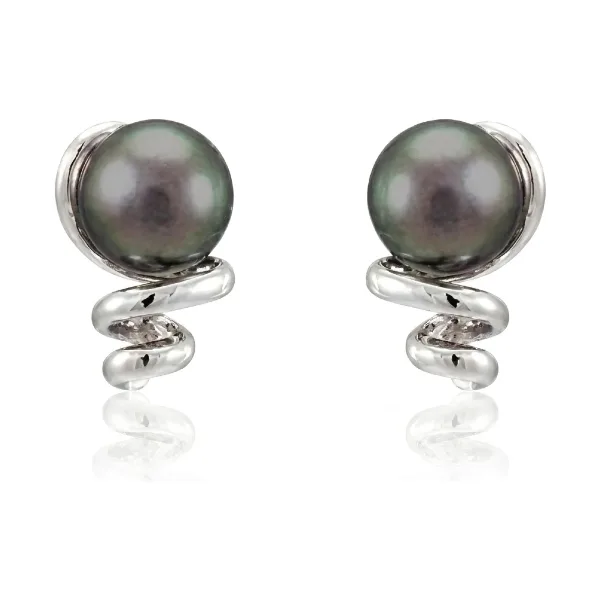 Black Akoya Pearl Spring-Like Design Stud Earrings  |  14ct White Gold