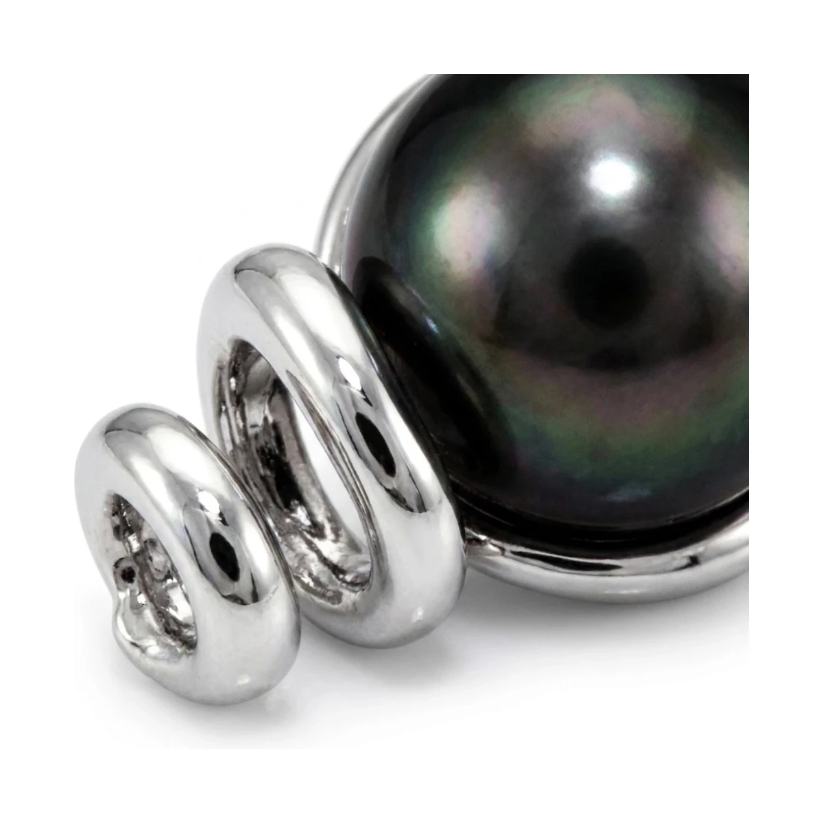 Black Akoya Pearl Spring-Like Design Stud Earrings  |  14ct White Gold