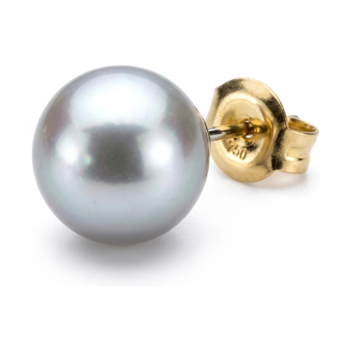 Grey Akoya Stud Earrings  |  8.0-8.5 mm